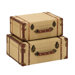 Travel Suitcase (Set of 2)