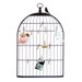 Bird Cage Picture Holder