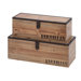 Library Wood Trunk (Set of 2)