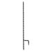 Black Wrought Iron Twist Stake
