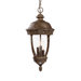 Fleur de Lis 3 Light Outdoor Hanging Lantern