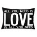 Love is All You Need Pillow