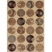 Ohana Paradise Tropical Ports Beige Rug