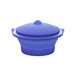 Collapsible Steamer