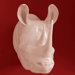 Rhinoceros Trophy Head