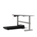 Sit-to-Walkstation