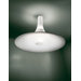 Icon Ceiling Light