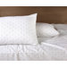 Morning Glory Plus Organic Pillow Case Set