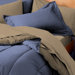 Reversible Sham