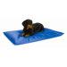 Cool Dog Bed III&trade; in BLUE