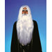 Merlin Wig and Beard Set