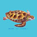 Sea Turtle Coaster (Set of 4)