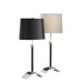 1 Light Table Lamp