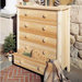 Adirondack 5 Drawer Chest