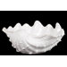 Ceramic Seashell