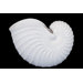 Ceramic Shell Statue