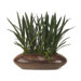 Faux Succulents in Planter