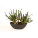 Silk Greenery Succulent Garden in Large Oval Planter