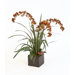 Silk Dendrobium Orchid in Box