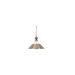 1 Light Pendant