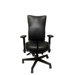 Executive Glider TS