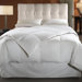 Hypoallergenic 550 Fill Power Down Comforter