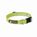 Headwater� Stink-Proof Dog Collar in Fern Green