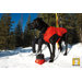 Quinzee Insulated Dog Jacket