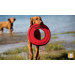 Hydro Plane� Dog Toy