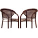Arm Chair (Set of 2)