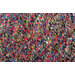 Lil Wooly Multi Colored Rug