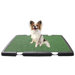Indoor Dog Potty