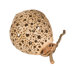 Coconut Ball