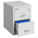 25" D Two-Drawer Vertical Letter File