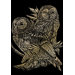 Art Engraving Owls Art Engraving
