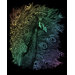 Rainbow Peacock Art Engraving
