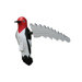 Woodpecker