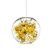 Tangle 1 Light Globe Pendant