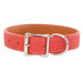 Tuscany Leather Dog Collar