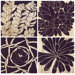 Succulent Panels (Set of 4)