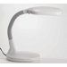 Sunlight Desk Lamp