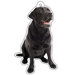 Black Labrador Air Freshener (Set of 3)