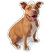 Pit Bull Air Freshener (Set of 3)