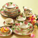Desert Rose 20 Piece Dinnerware Set