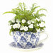Floral Delight Teacup Planter