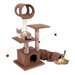 18.75" Activity Lounging Tower and Tunnel with Retreat Hide-Away Cat Tree