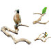 Java Wood Multi Branch Perch