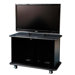 Plasma LCD Display Cabinet in Black