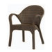 Bali Small Dining Arm Chair