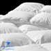 Strasbourg Down Comforter